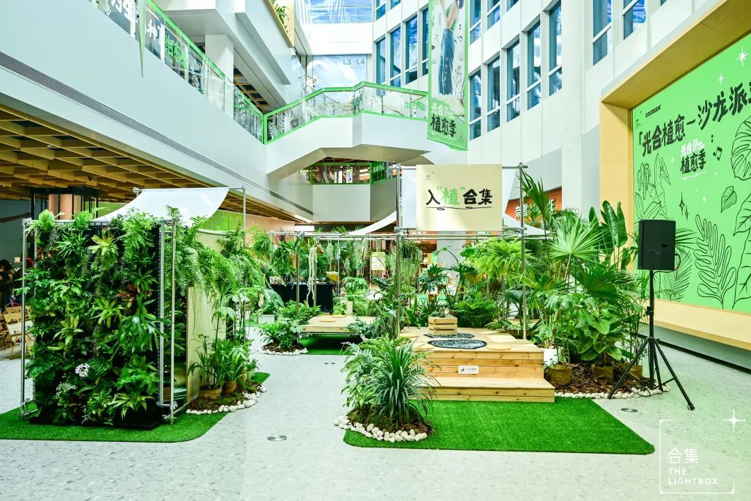 城市街道上的植物素描和记录照片